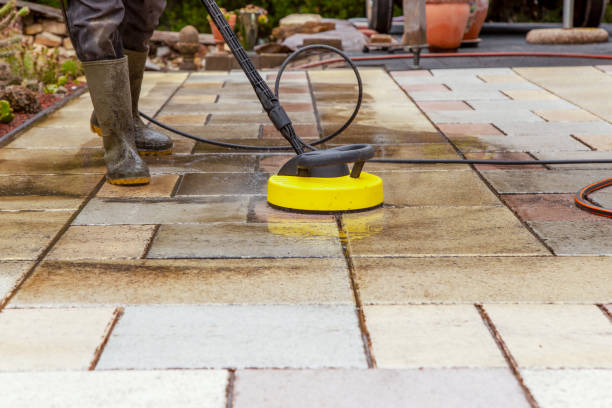 Best Solar Panel Cleaning  in Springdale, PA